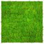Přírodní mechový obkladový panel Jangal Modular Wall Nature Moss BRIGHT GREEN 11102, 520 x 520mm, 0,2704m²