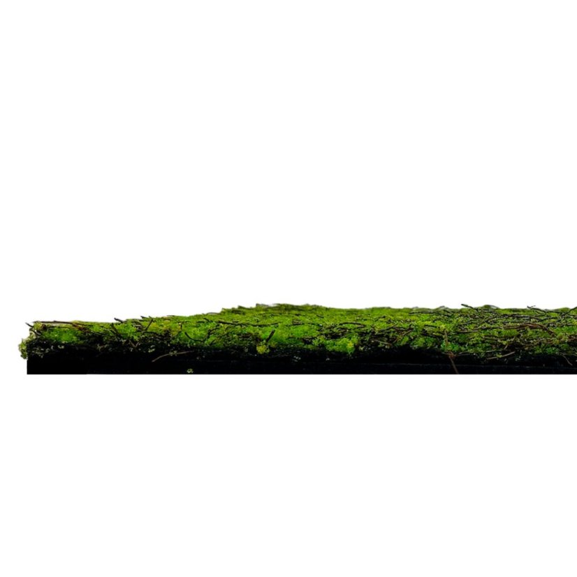 Květinový obkladový panel Jangal Modular Wall Nature Design Flora FOREST GREEN ANCIENT TREE 11107, 520 x 520mm, 0,2704m²