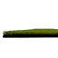 Květinový obkladový panel Jangal Modular Wall Nature Design Flora LIGHT GREEN COCONUT 11106, 520 x 520mm, 0,2704m²