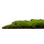 Mechový obkladový panel Jangal Modular Wall Design Moss FOREST GREEN BULK - 11111