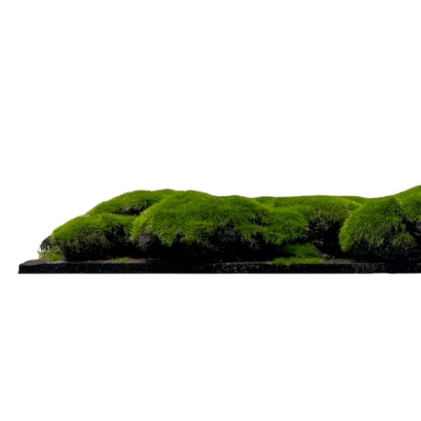 Mechový obkladový panel Jangal Modular Wall Design Moss FOREST GREEN BIG BULK 11109, 520 x 520mm, 0,2704m²