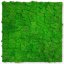 Přírodní mechový obkladový panel Jangal Modular Wall Nature Moss RICH GREEN 11101, 520 x 520mm, 0,2704m²
