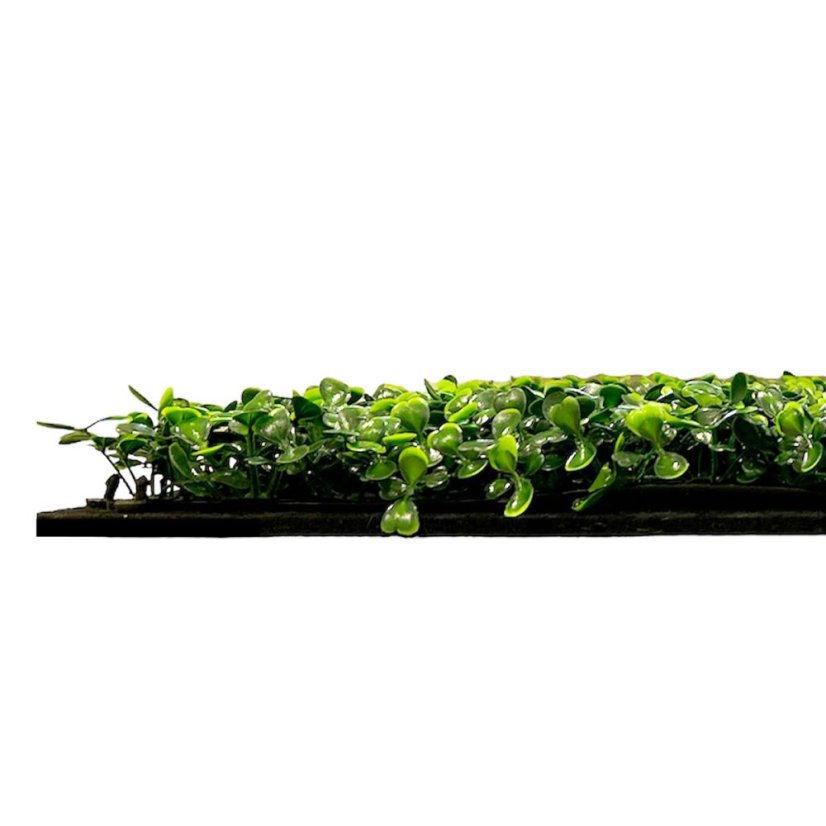 Květinový obkladový panel Jangal Modular Wall Design Flora Dark Green Design Buxus 11113, 520 x 520mm, 0,2704m²