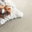 Vinylová podlaha zámková SPC Adore Floors Admiral JASPER AD003