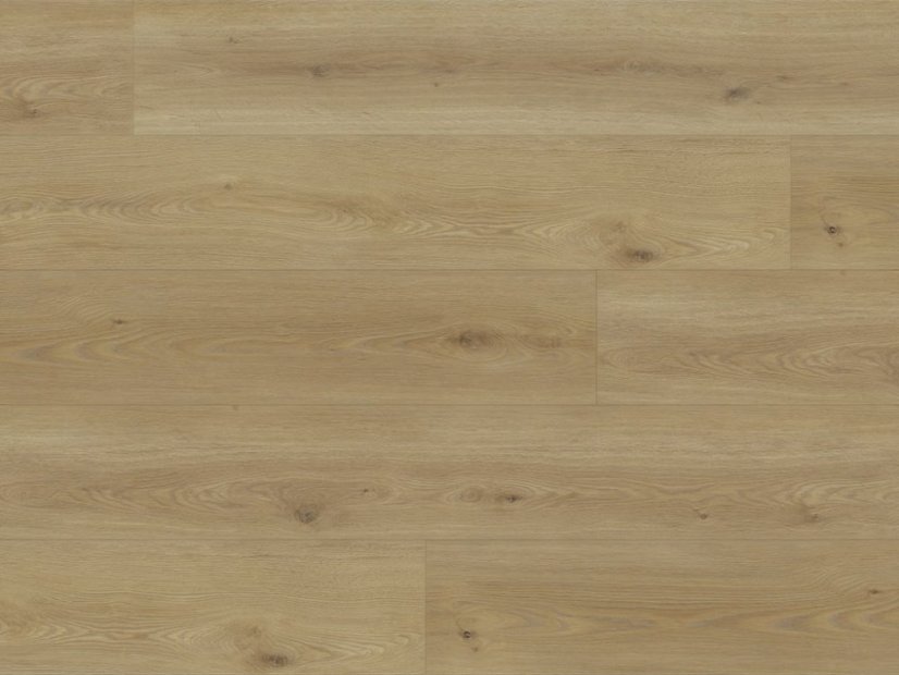 Vinylová podlaha lepená Experto LVT 55 Dub Citi