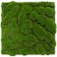 Mechový obkladový panel Jangal Modular Wall Design Moss FOREST GREEN BIG BULK 11109, 520 x 520mm, 0,2704m²