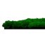 Přírodní mechový obkladový panel Jangal Modular Wall Nature Moss NATURE GREEN 11100, 520 x 520mm, 0,2704m²