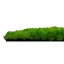 Přírodní mechový obkladový panel Jangal Modular Wall Nature Moss BRIGHT GREEN 11102, 520 x 520mm, 0,2704m²