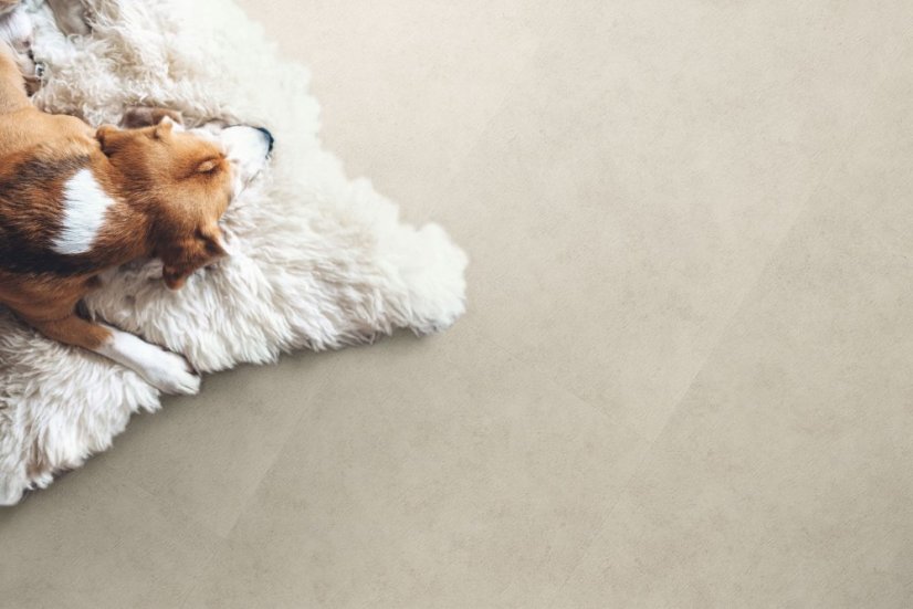 Vinylová podlaha zámková SPC Adore Floors Admiral JASPER AD003