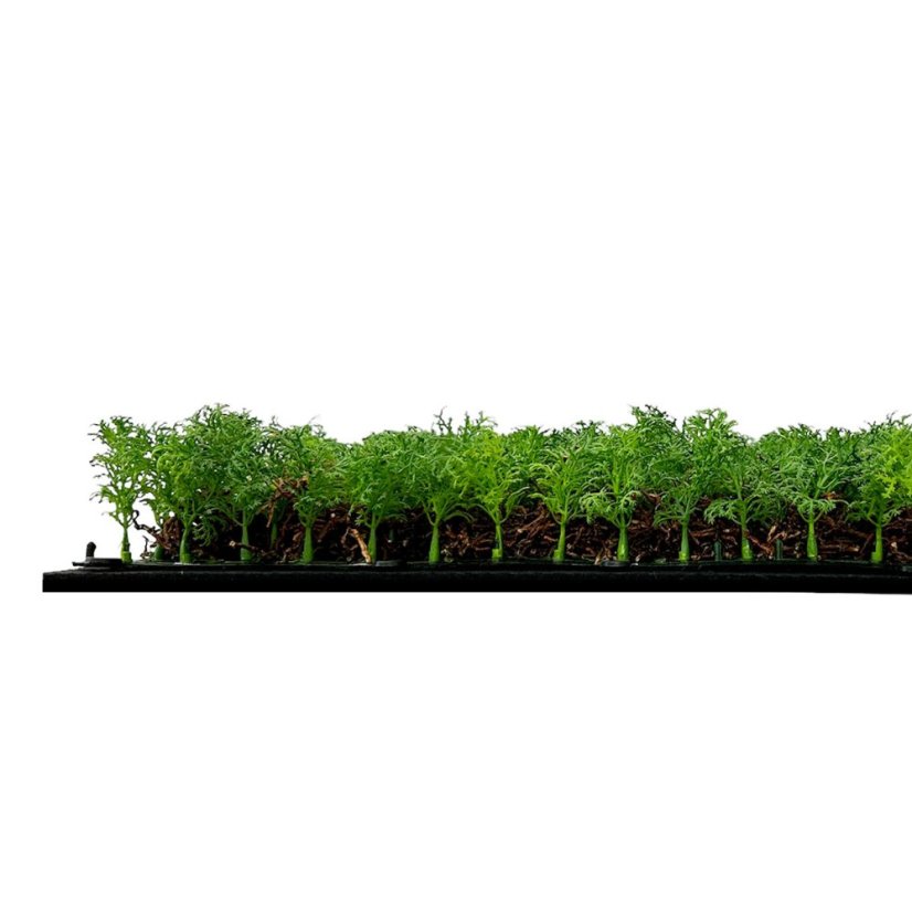 Květinový obkladový panel Jangal Modular Wall Nature Design Flora THUJA TEA TREE 11105, 520 x 520mm, 0,2704m²