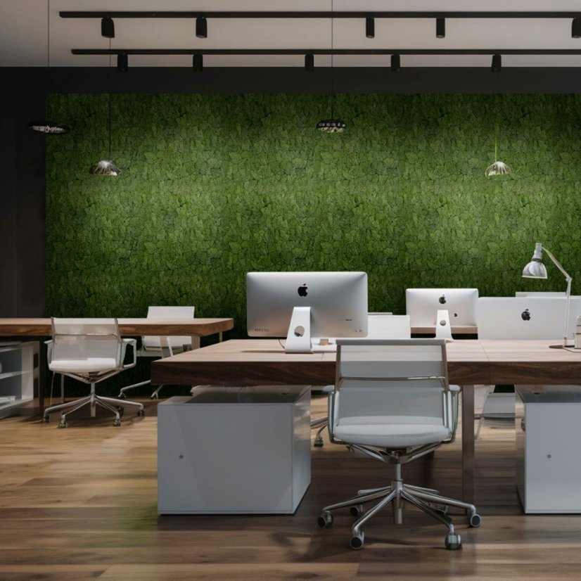 Přírodní mechový obkladový panel Jangal Modular Wall Nature Moss DARK GREEN - 11103