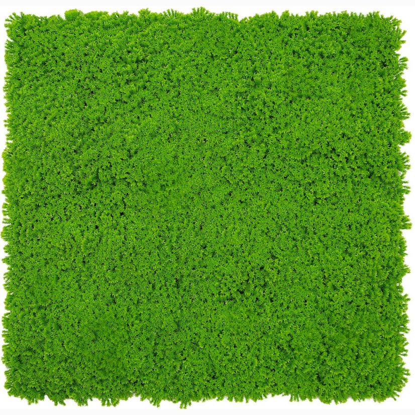 Mechový obkladový panel Jangal Modular Wall Design Moss LIME GREEN 11121, 520 x 520mm, 0,2704m²