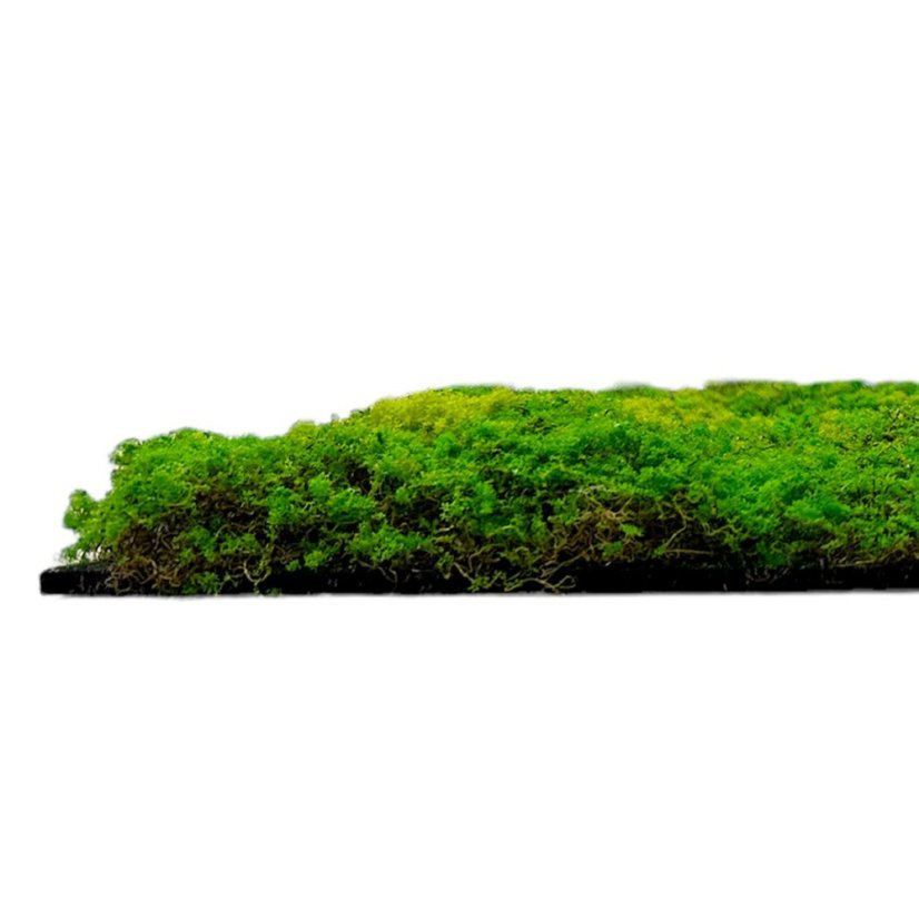 Mechový obkladový panel Jangal Modular Wall Design Moss LIGHT GREEN FIBRE 11110, 520 x 520mm, 0,2704m²