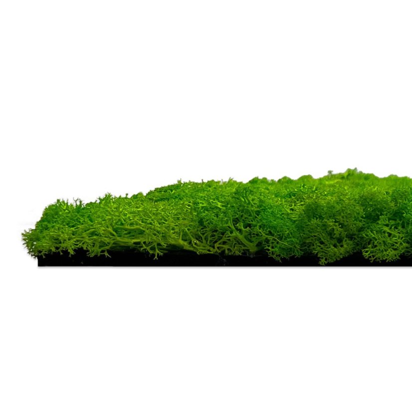 Přírodní mechový obkladový panel Jangal Modular Wall Nature Moss BRIGHT GREEN - 11102