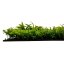 Květinový obkladový panel Jangal Modular Wall Design Flora TROPICAL MIXED FLORA 11118, 520 x 520mm, 0,2704m²