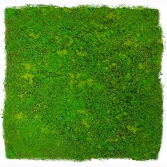 Mechový obkladový panel Jangal Modular Wall Design Moss LIGHT GREEN FIBRE 11110, 520 x 520mm, 0,2704m²