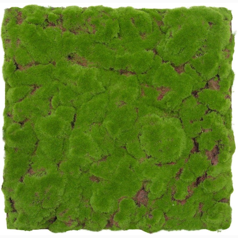 Mechový obkladový panel Jangal Modular Wall Design Moss FOREST GREEN BULK 11111, 520 x 520mm, 0,2704m²