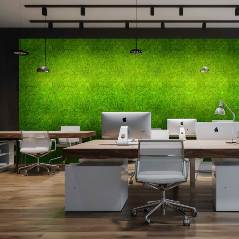 Přírodní mechový obkladový panel Jangal Modular Wall Nature Moss BRIGHT GREEN 11102, 520 x 520mm, 0,2704m²