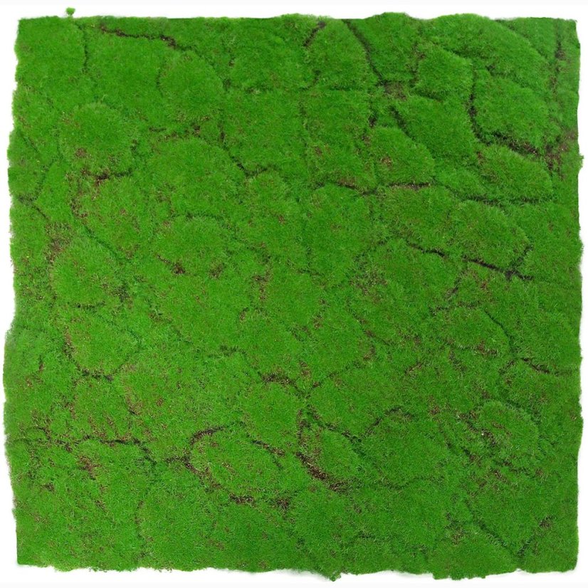 Mechový obkladový panel Jangal Modular Wall Design Moss FOREST GREEN 11108, 520 x 520mm, 0,2704m²