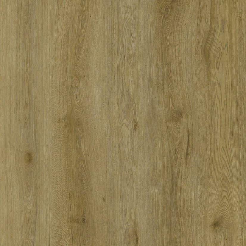 Vinylová podlaha lepená Republic Floor Dryback Grizzly EPIC DG004