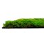 Mechový obkladový panel Jangal Modular Wall Design Moss LIGHT GREEN FIBRE 11110, 520 x 520mm, 0,2704m²