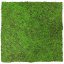 Květinový obkladový panel Jangal Modular Wall Nature Design Flora FOREST GREEN ANCIENT TREE 11107, 520 x 520mm, 0,2704m²