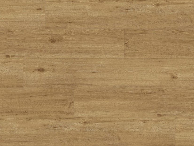 Vinylová podlaha lepená Experto LVT 55 Dub Ravello