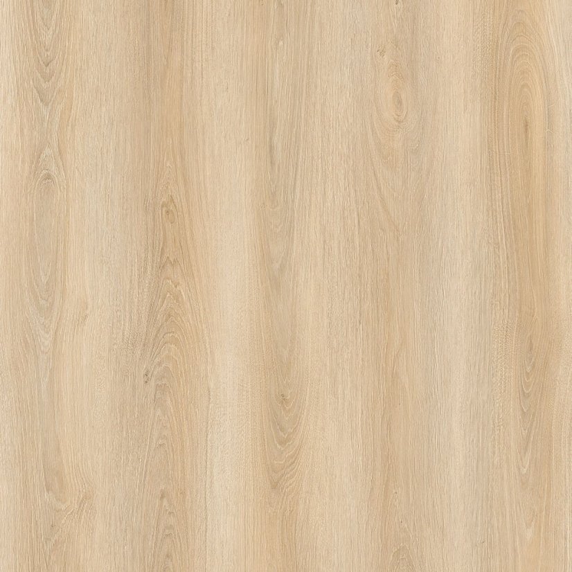 Vinylová podlaha lepená Republic Floor Dryback Grizzly FAME DG008