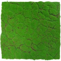 Mechový obkladový panel Jangal Modular Wall Design Moss FOREST GREEN 11108, 520 x 520mm, 0,2704m²
