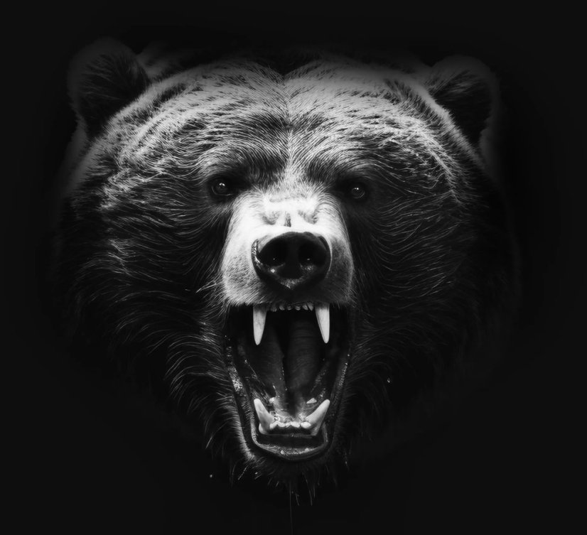 Vinylová podlaha lepená Republic Floor Dryback Grizzly EPIC DG004