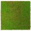 Květinový obkladový panel Jangal Modular Wall Nature Design Flora LIGHT GREEN COCONUT - 11106