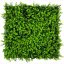 Květinový obkladový panel Jangal Modular Wall Design Flora Mixed Green Design Buxus 11112, 520 x 520mm, 0,2704m²