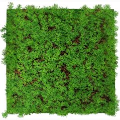 Květinový obkladový panel Jangal Modular Wall Nature Design Flora THUJA TEA TREE 11105, 520 x 520mm, 0,2704m²
