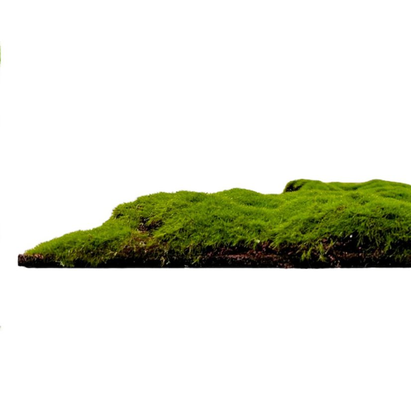 Mechový obkladový panel Jangal Modular Wall Design Moss FOREST GREEN BULK 11111, 520 x 520mm, 0,2704m²