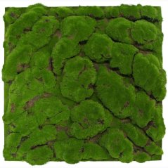 Mechový obkladový panel Jangal Modular Wall Design Moss FOREST GREEN BIG BULK 11109, 520 x 520mm, 0,2704m²