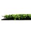 Květinový obkladový panel Jangal Modular Wall Design Flora Dark Green Design Buxus 11113, 520 x 520mm, 0,2704m²