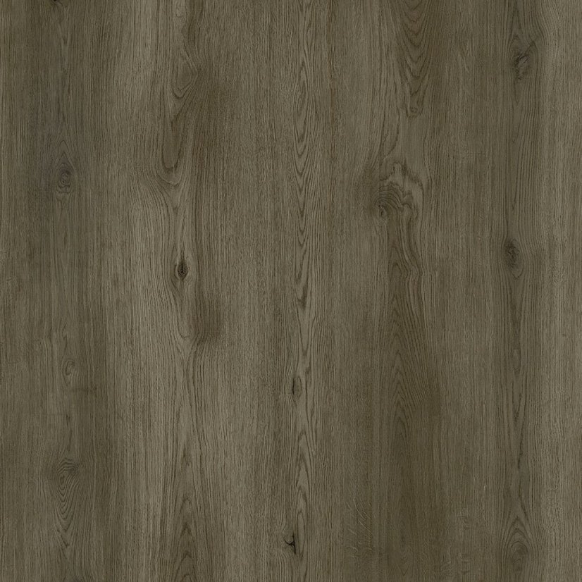 Vinylová podlaha lepená Republic Floor Dryback Grizzly BANKSTER DG002