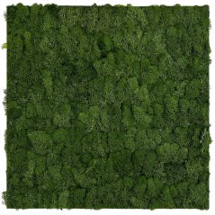 Přírodní mechový obkladový panel Jangal Modular Wall Nature Moss DARK GREEN 11103, 520 x 520mm, 0,2704m²