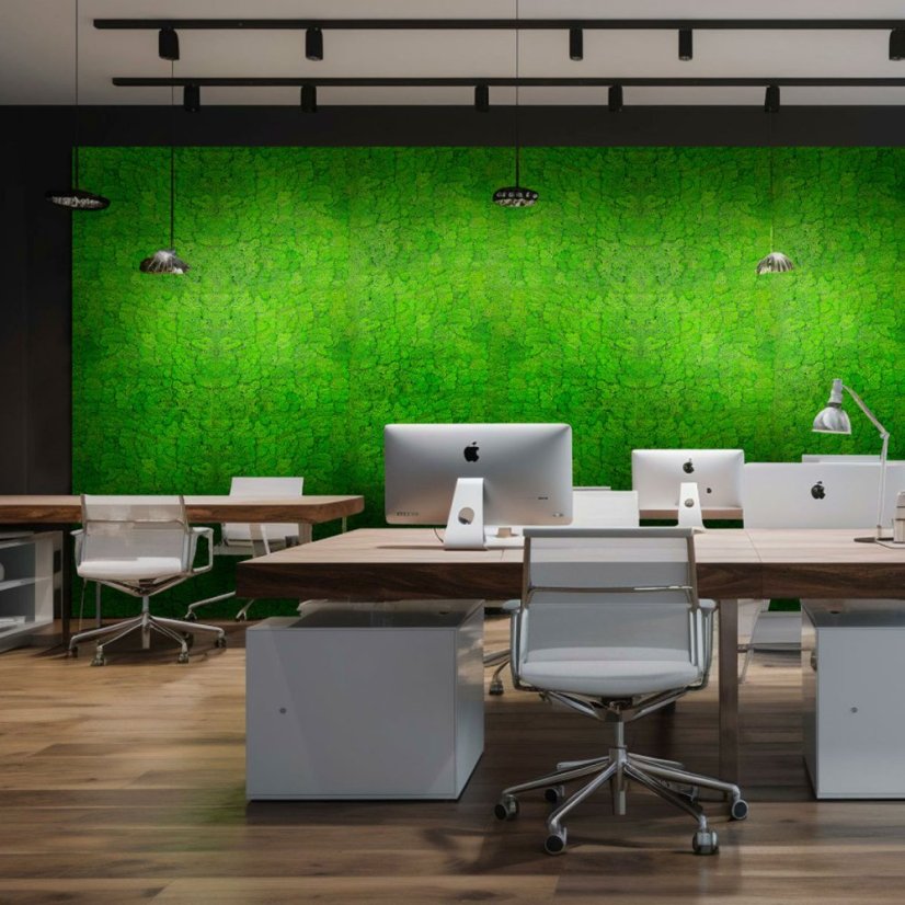 Přírodní mechový obkladový panel Jangal Modular Wall Nature Moss RICH GREEN 11101, 520 x 520mm, 0,2704m²