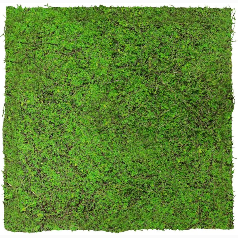 Květinový obkladový panel Jangal Modular Wall Nature Design Flora FOREST GREEN ANCIENT TREE - 11107