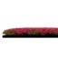 Květinový obkladový panel Jangal Modular Wall Design Flora Pink Design Grass 11114, 520 x 520mm, 0,2704m²