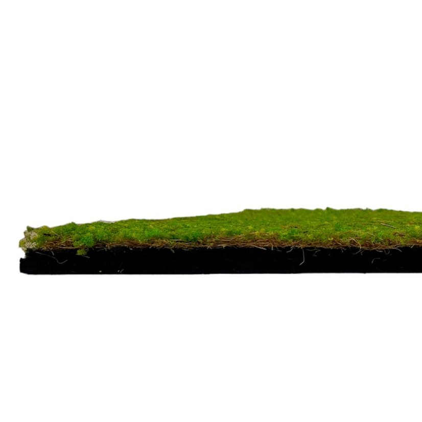 Květinový obkladový panel Jangal Modular Wall Nature Design Flora LIGHT GREEN COCONUT 11106, 520 x 520mm, 0,2704m²
