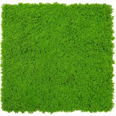 Mechový obkladový panel Jangal Modular Wall Design Moss LIME GREEN 11121, 520 x 520mm, 0,2704m²