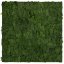 Přírodní mechový obkladový panel Jangal Modular Wall Nature Moss DARK GREEN 11103, 520 x 520mm, 0,2704m²