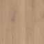 Kronotex 8 SOLID - 193 mm - Summer Oak Sand 99392