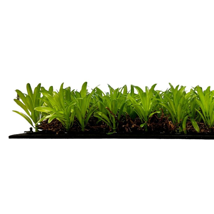 Květinový obkladový panel Jangal Modular Wall Nature Design Flora PODOCARPUS TEA TREE 11104, 520 x 520mm, 0,2704m²