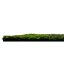 Květinový obkladový panel Jangal Modular Wall Nature Design Flora FOREST GREEN ANCIENT TREE 11107, 520 x 520mm, 0,2704m²