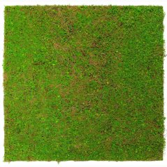 Květinový obkladový panel Jangal Modular Wall Nature Design Flora LIGHT GREEN COCONUT 11106, 520 x 520mm, 0,2704m²