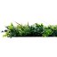 Květinový obkladový panel Jangal Modular Wall Design Flora EXOTIC MIXED FLORA 11117, 520 x 520mm, 0,2704m²