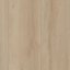Kronotex 8 SOLID - 193 mm - Grand Oak Beige 99402